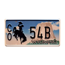 Celebrity Machines Longmire | CO 54B | Metal Stamped License Plate