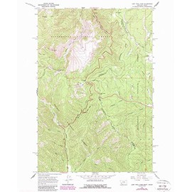 YellowMaps Lost Trail Pass MT topo map, 1:24000 Scale, 7.5 X 7.5 Minute, Historical, 1966, Updated 1989, 26.8 x 22 in - Tyvek