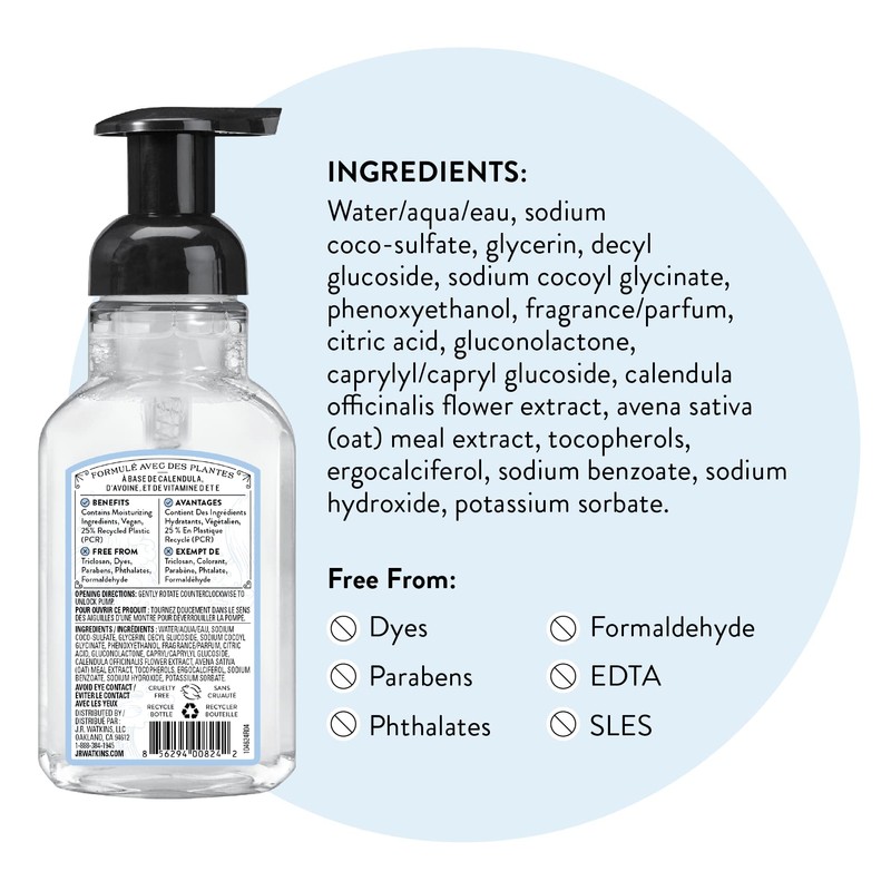 J.R. Watkins Foaming Hand Soap with Pump Dispenser, Moisturizing Foam