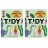 Tidy Tea, Moroccan Tea, 2 x 15 Plastic Free Pyramid