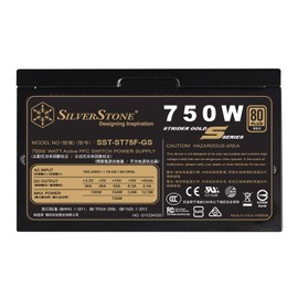 SilverStone Technology 750W Computer Power Supply PSU Fully Modular with 80 Plus Gold & 140mm Design Power Supply (SST-ST75F-GS-V3)