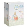Beatrix Potter A28347 The Tale of Peter Rabbit Money Bank