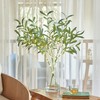 Hairui Lighted Olive Branches with Timer 24IN 72LED Battery Operated,
