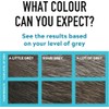 Just for Men Mustache & Beard Dye, Light Brown M25,