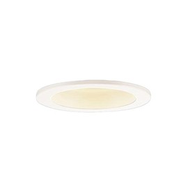 Panasonic LSEB5041LB1 Beauty Look One-Core Downlight, Brightness Free 3.9 inches (100 mm), Equivalent to 1 60 Bulb, Bulb Color