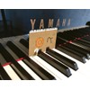 Key Stand Music Note Card Set / Sollasis