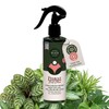 WE THE WILD Organic Protect Leaf Shine - Neem Oil