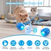 LEUCITE Interactive Cat Toys: Agile Moving Ball with Elastic Mesh