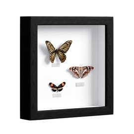 EUGAD 3D Picture Frame for Filling, Object Frame 20 x 20 cm, Deep Frame for Objects up to 3 cm, Wooden Frame Collage with Paper Mount, Black