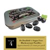 DOOLITTLE Dr Sugar Free Soft Fruit Pastilles for Voice and