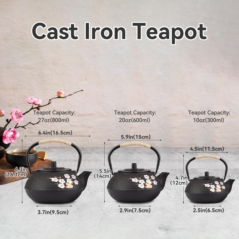 ALSKHEAS Japanese Cast Iron Teapot, Cast Iron Tea Kettle with