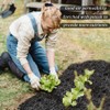 Horticultural Charcoal, Rice Husk Natural Activated Charcoal for Plants Indoor
