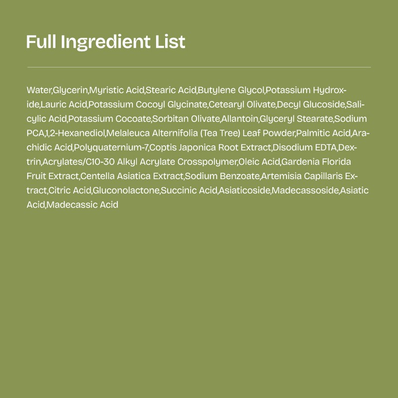 orien Mugwort Zero Film Cleansing Foam 150ml - orien Mugwort