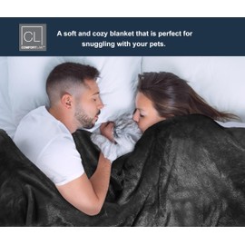 Comfort Lab Plush Flannel Bed Blanket - Soft, Lightweight, Fleece Blanket for Couch, Bed & Home Decor - Anti Pilling and Non Shedding Fleece Bed Blanket - Full/Queen (90" x 90") - Black