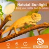 REPTI HOME Reptile Heat Lamp Bulbs, Simulate Natural Sunlight Heat