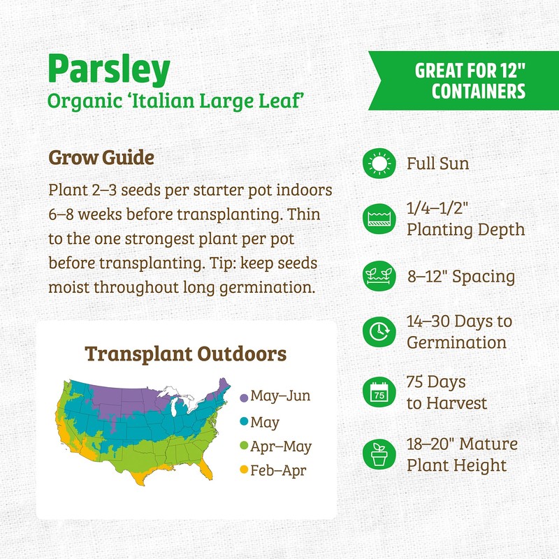 Back to The Roots 100% Organic Seed Packet - Parsley