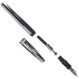 Monteverde Aldo Domani Italia Fountain Pen Mirror Chrome - Omniflex