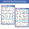 Dumbbell Workout Poster Set (2 Pack) - Workout Charts for