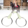 Ezweiji Horse Mouth Bit Apple Flavour Professional Stainless Steel Snaffle