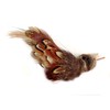 Purrs Wren Bird Attachment- Fits PurrSuit, Frenzy & DaBird wand