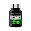 Scitec Nutrition Ginkgo Biloba Extrakt Tabletten - Natürliche Unterstützung, Standardisierte