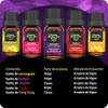 ORIGINAL NATURES OILS Kit Relajacin de 5 aceites Esenciales para