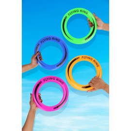 HENBRANDT 2 x Flying Discs 25cm Assorted Neon Colours Flying Ring Kids Disc Toys Summer Fun Beach Garden Picnic Party Outdoor Sports Game for Boys and Girls