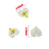 HOKPA Artificial Silk Phalaenopsis Flower Heads, Fake Butterfly Orchid Head