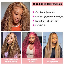 4/27 Kinky Curly Clip Ins 22 Inch 110g 8pcs 3C 4A Curly Clip In Hair Extensions Real Human Hair Full Head for Women 100% Brazilian Remy Human Hair Extensions with 20 Clips #4/27