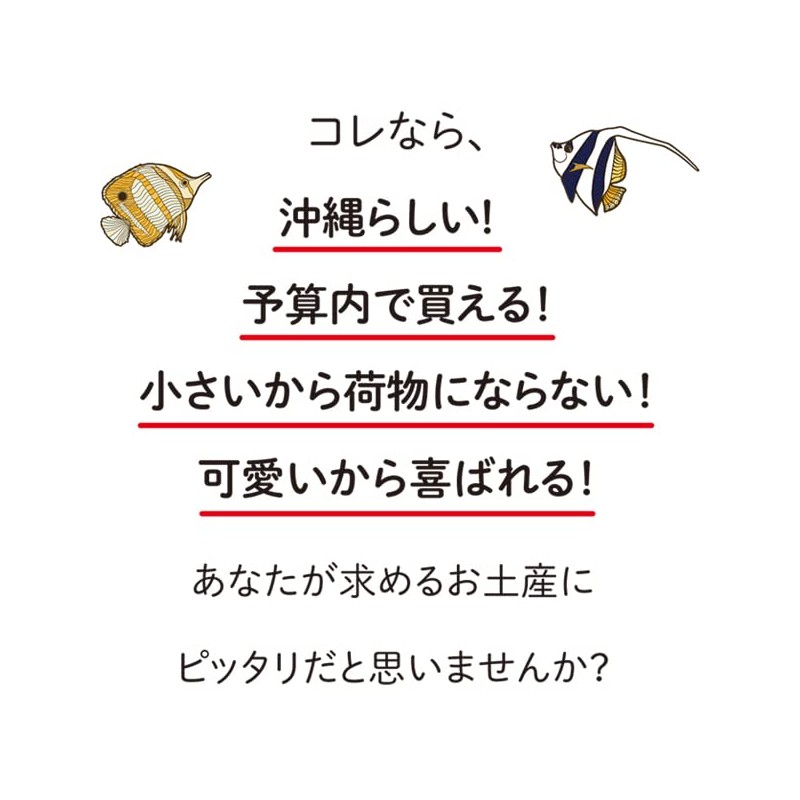 くば笠屋 ミントタブレット ミント缶 清涼菓子 沖縄県NEXT優良県産品 沖縄 お土産 ノベルティ 沖縄限定 OKINAWAミント缶