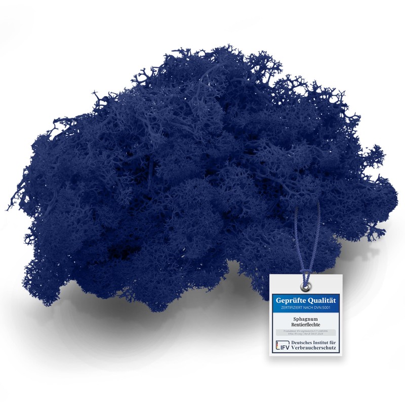 sphagnum-shop.com Real Decorative Moss Reindeer Moss in Royal Blue 500