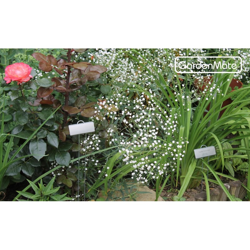 GardenMate - Etiquetas metálicas para Plantas, 25-Pack 11.5'' Large