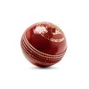Zipper Leather Cricket Ball Senior Match Quality Hand Stitched Balls