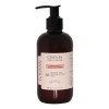 Crema Para Peinar Arándanos Y Moras Silvestres Folisan 250ml