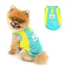 PAIDEFUL Breathable Mesh T-Shirt for Small Dogs Summer Doggie Cool