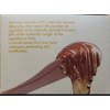 Glee Caramel Body Wax Kit Complete Women Bikini Line Body