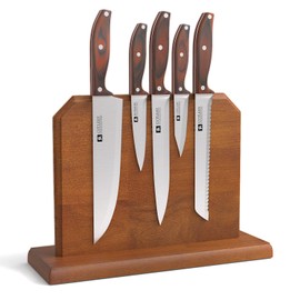 Diagsh Knife Set 5-Piece with Magnetic Block Holder | Chef,Utility,Bread & Fruit Knives | Stainless Steel with Glossy Finish