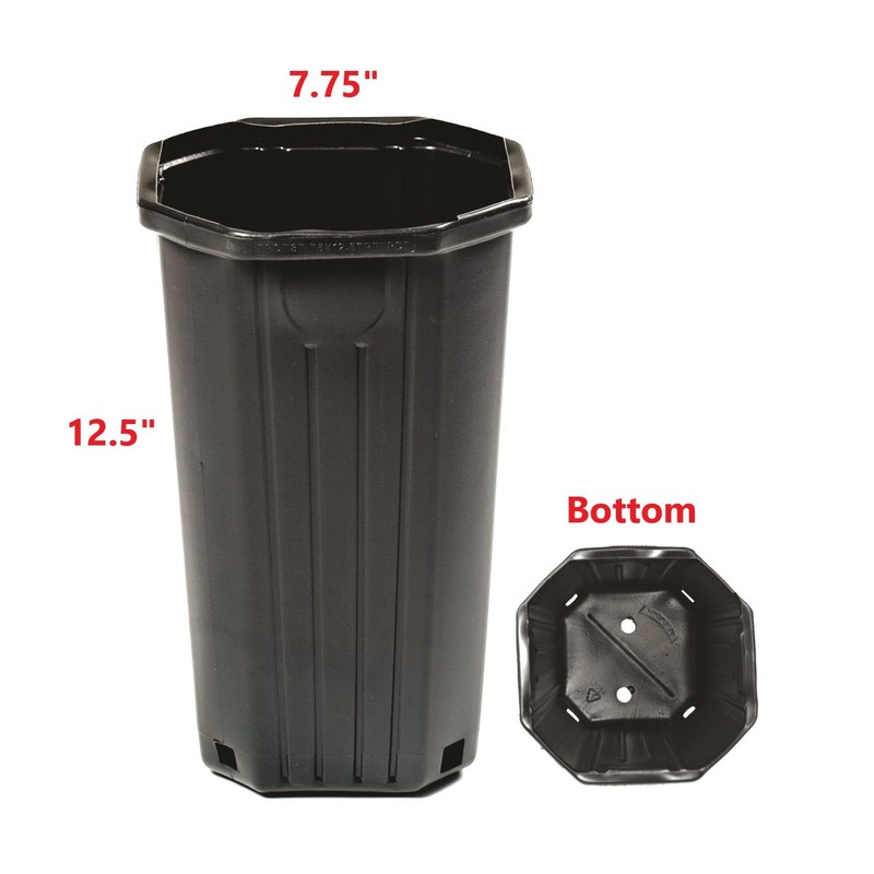 Stuewe & Sons – TP812 Treepot – 8” x 12”