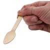Wooden Tea Spoons Biodegradeable & Disposable Pack of 100