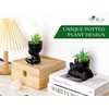 Der Rose 3 Pack Fake Plants Artificial Succulents Plants for