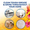 Lysol Lysol All-Purpose Cleaner, Sanitizing and Disinfecting Spray, To Clean