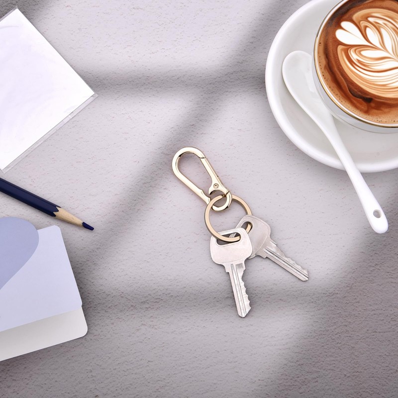 Hapeper Keychain Key Clips Metal Key Ring Key Chain Rings
