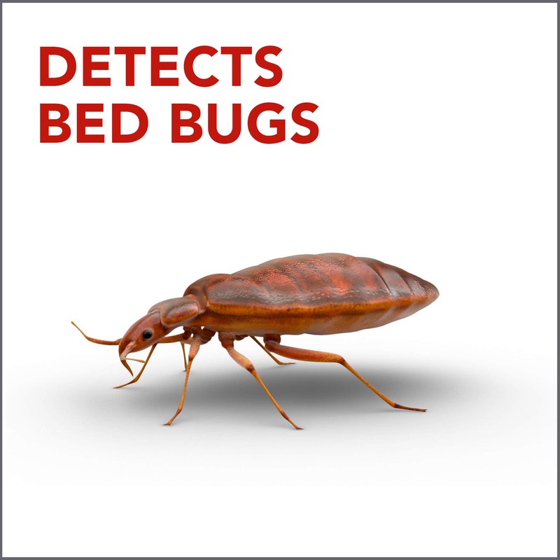 Raid Bed Bug Detector & Trap 8 Count (Pack of