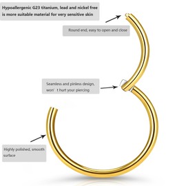 PIERCINGFUN Women Men G23 Titanium Hinged Piercing Nose Rings Hoop 18G 10mm for Nostril Septum Cartilage Helix Daith Tragus Rook Conch Lip Ear Lobe Belly Eyebrow Piercings, 1.0*10mm, Titanium, no