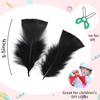 Soarer Black Turkey Feathers - 300pcs 3-5inch Feathers for Kindergarten