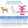 Arnés y Correa para Perros Gato,Pechera con 1.5M de Correa,