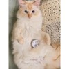Paw to Paw Cat Paw Butter Sample (15ml) Natural Lick