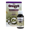 Growvit Multivitaminico Infantil Zn Zinc Aniquelado
