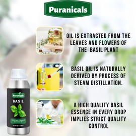 Basil Essential Oil 16 Ounces by Puranicals | 100% Pure & Natural | Undiluted Premium Quality | Therapeutic Grade Aromatherapy Oil