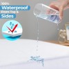 Hygea Natural Queen size Mattress Cover, Bed Bug Proof &
